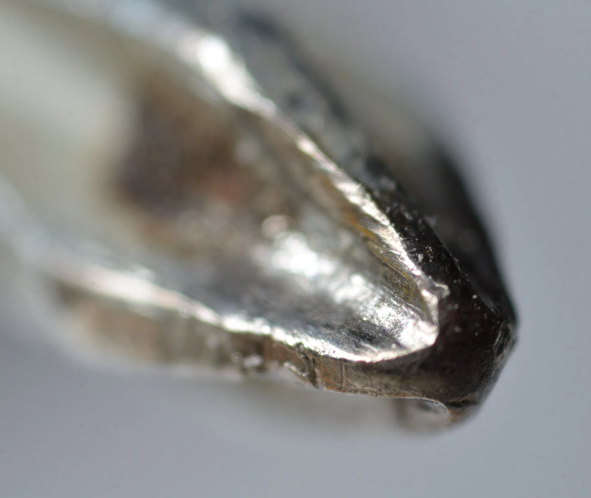 Bộ chuyển đổi kính hiển vi DX Nikon 2.75x và 4x