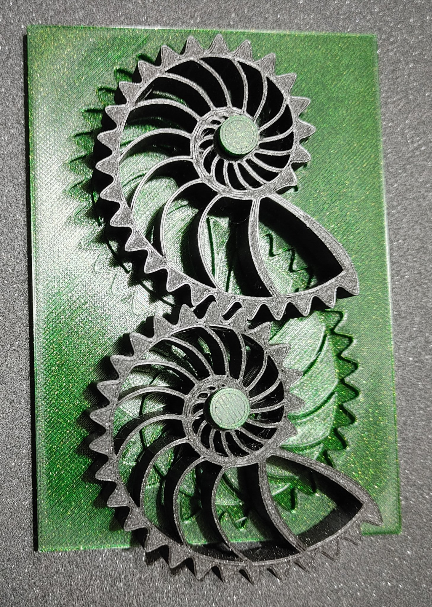 Đồ chơi xoay bánh răng vỏ Nautilus