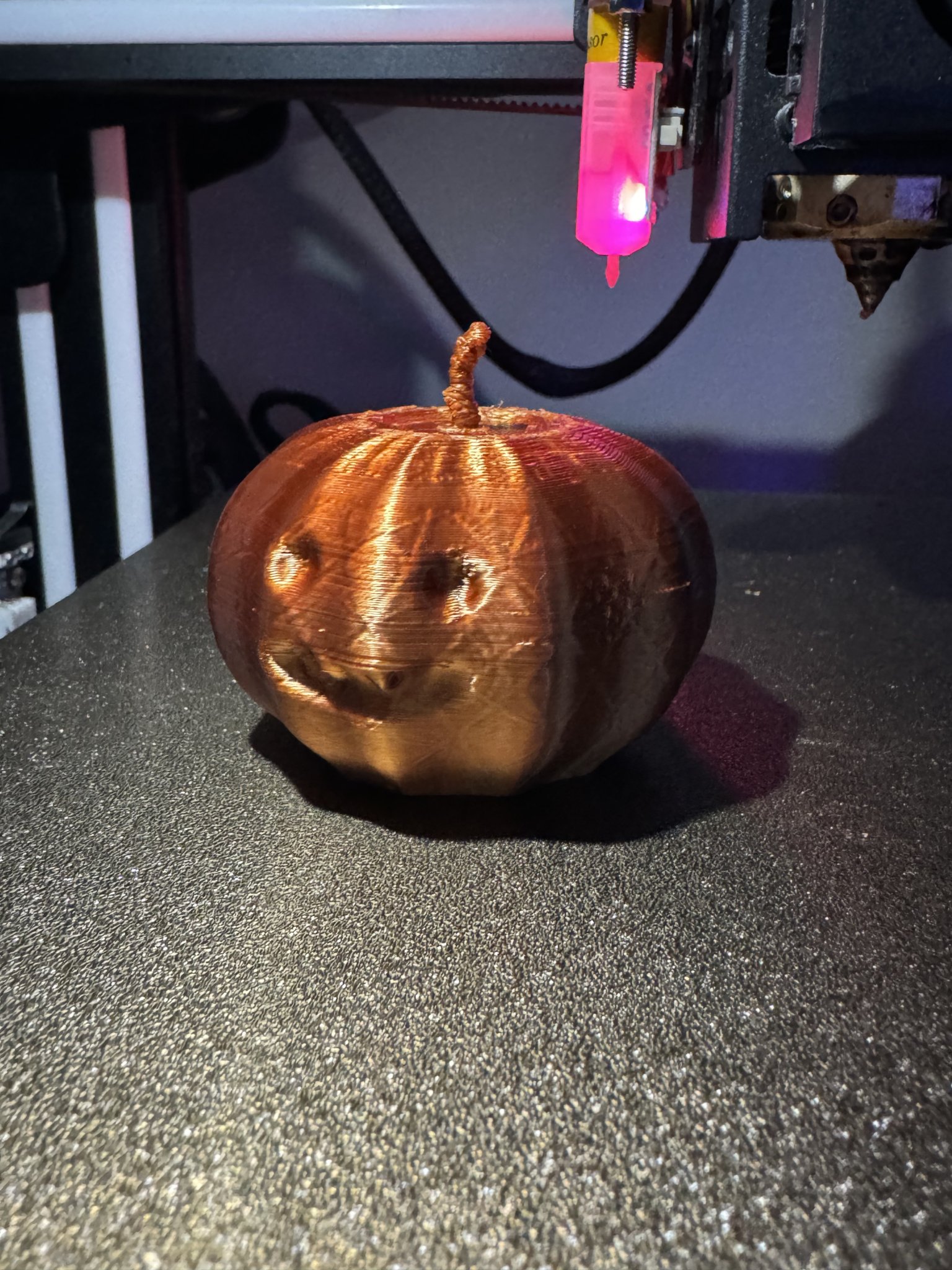 Bí ngô dễ thương với chiếc răng nanh nhỏ