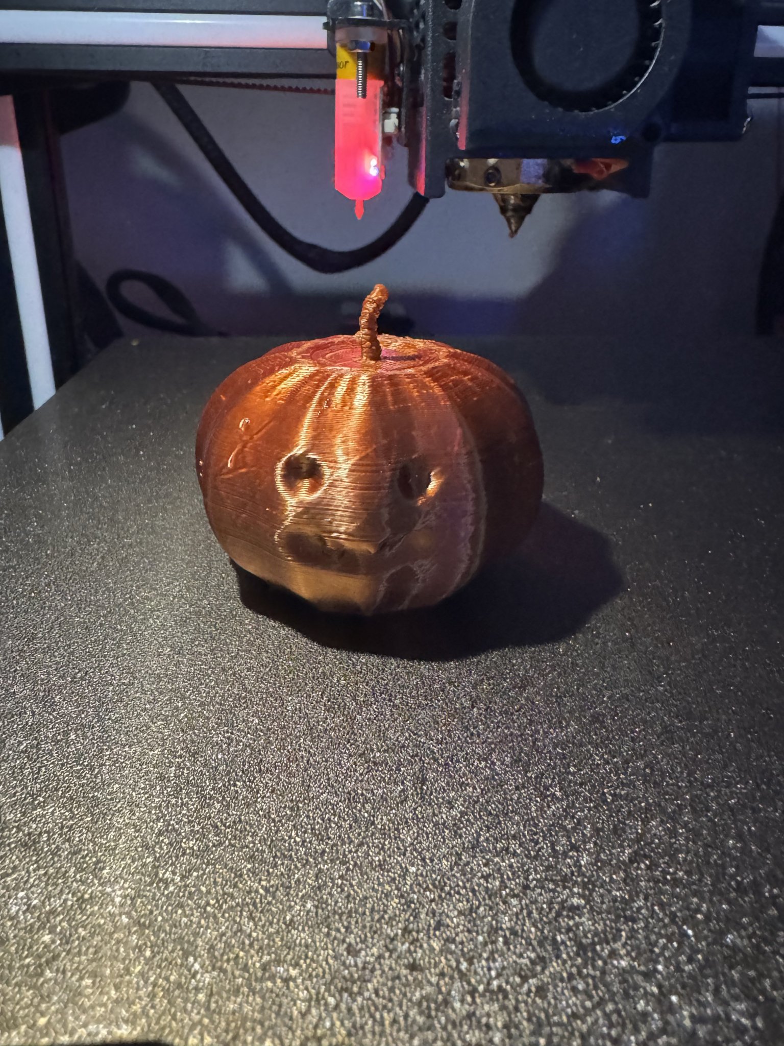 Bí ngô dễ thương với chiếc răng nanh nhỏ