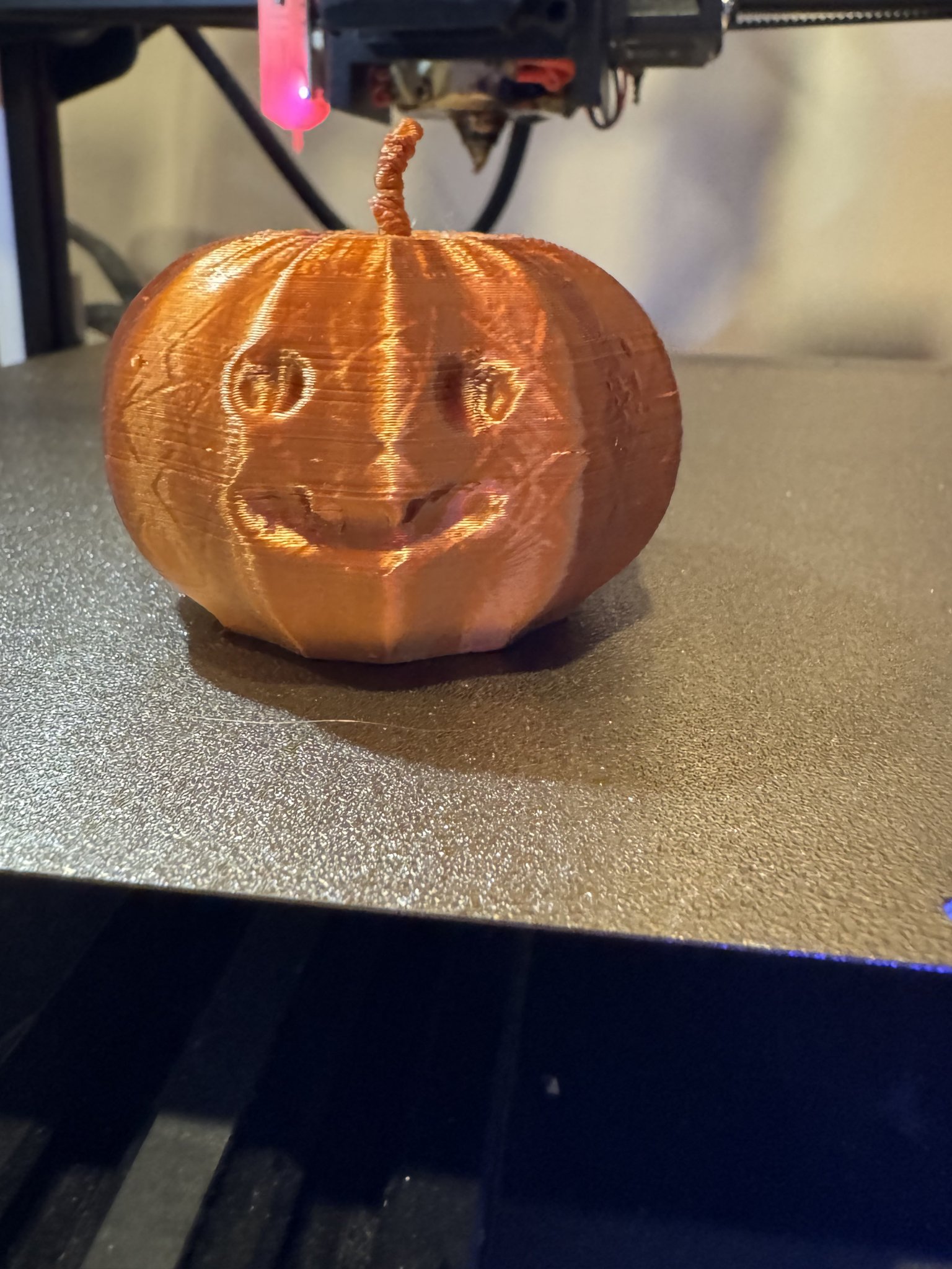 Bí ngô dễ thương với chiếc răng nanh nhỏ