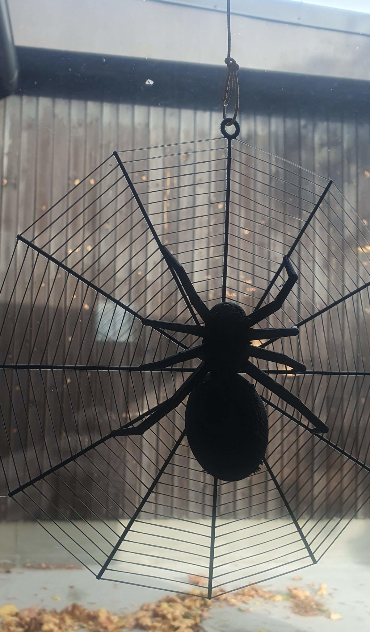 Nhện Halloween trong lưới với hai kích thước khác nhau