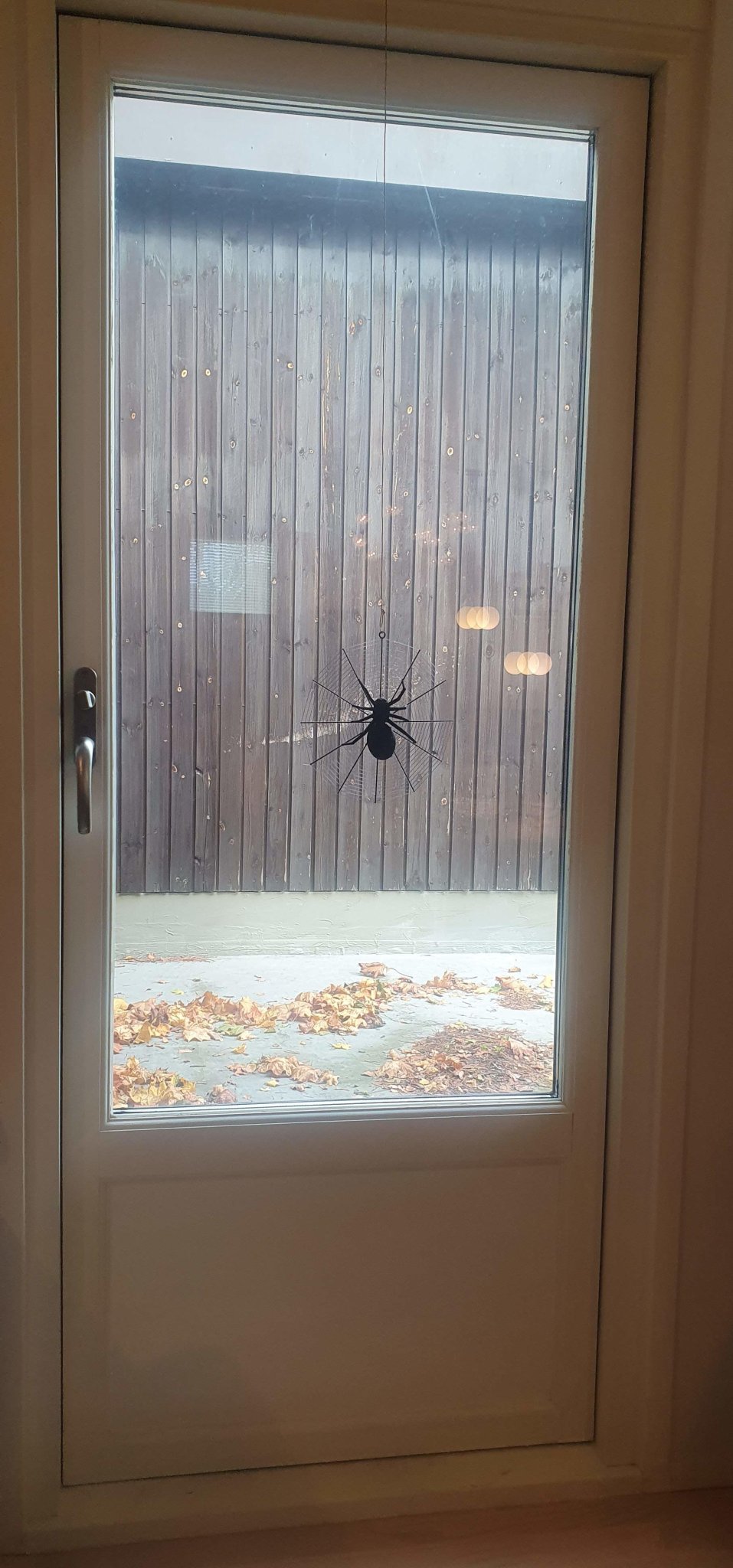 Nhện Halloween trong lưới với hai kích thước khác nhau