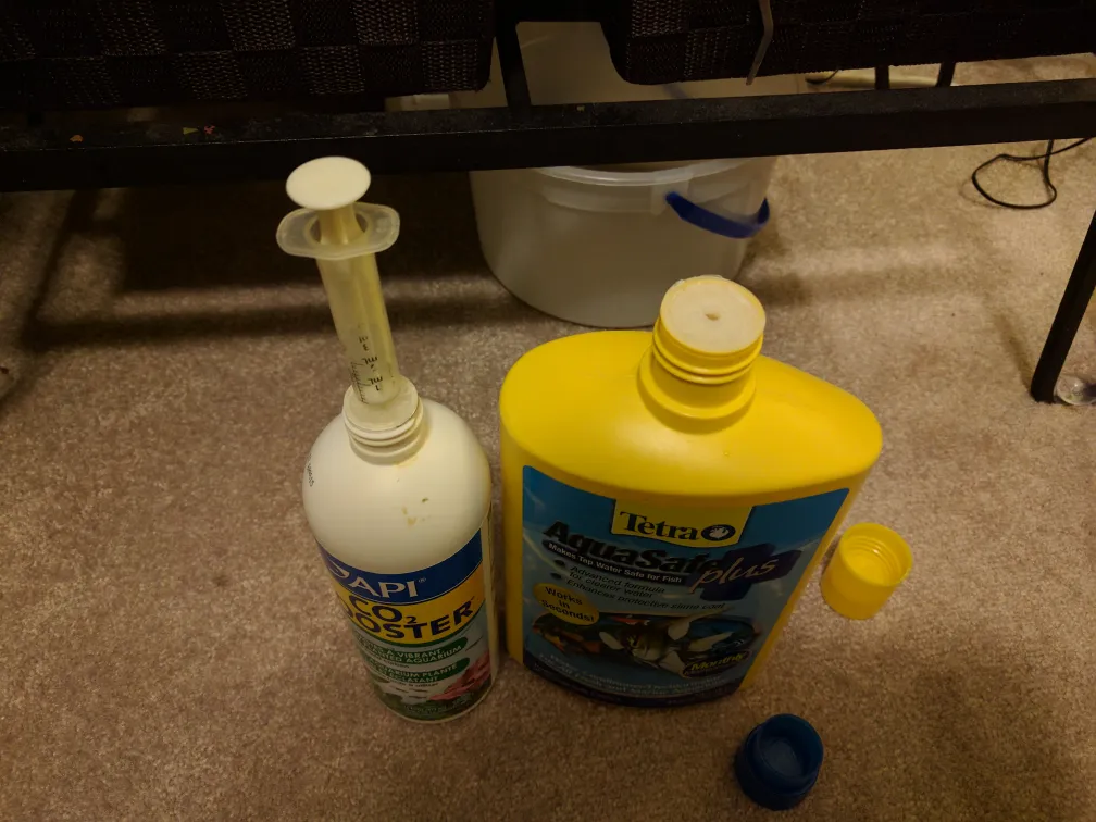 Bộ chuyển đổi xi lanh cho việc định lượng trong bể cá