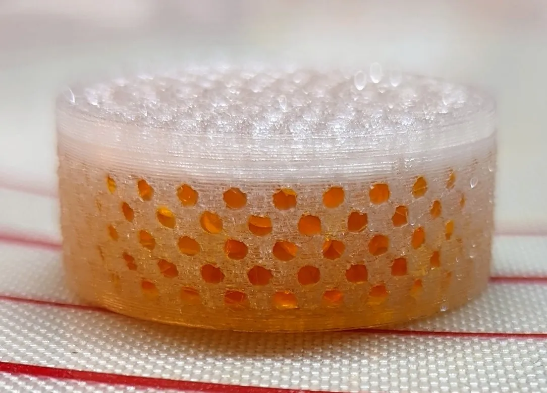 Puck hút ẩm cho bộ sạc máy trợ thính Phonak/Unitron