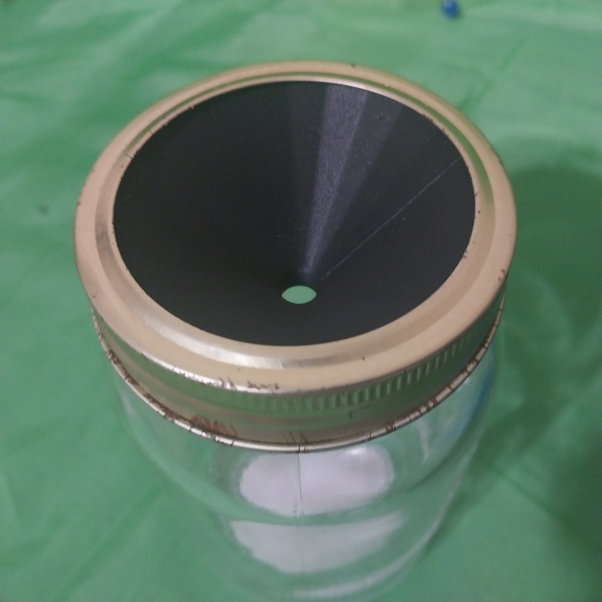 Bẫy ruồi trái cây bằng hũ Mason