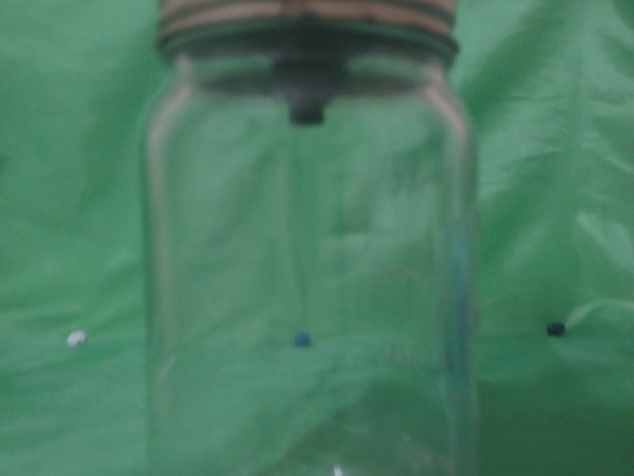 Bẫy ruồi trái cây bằng hũ Mason