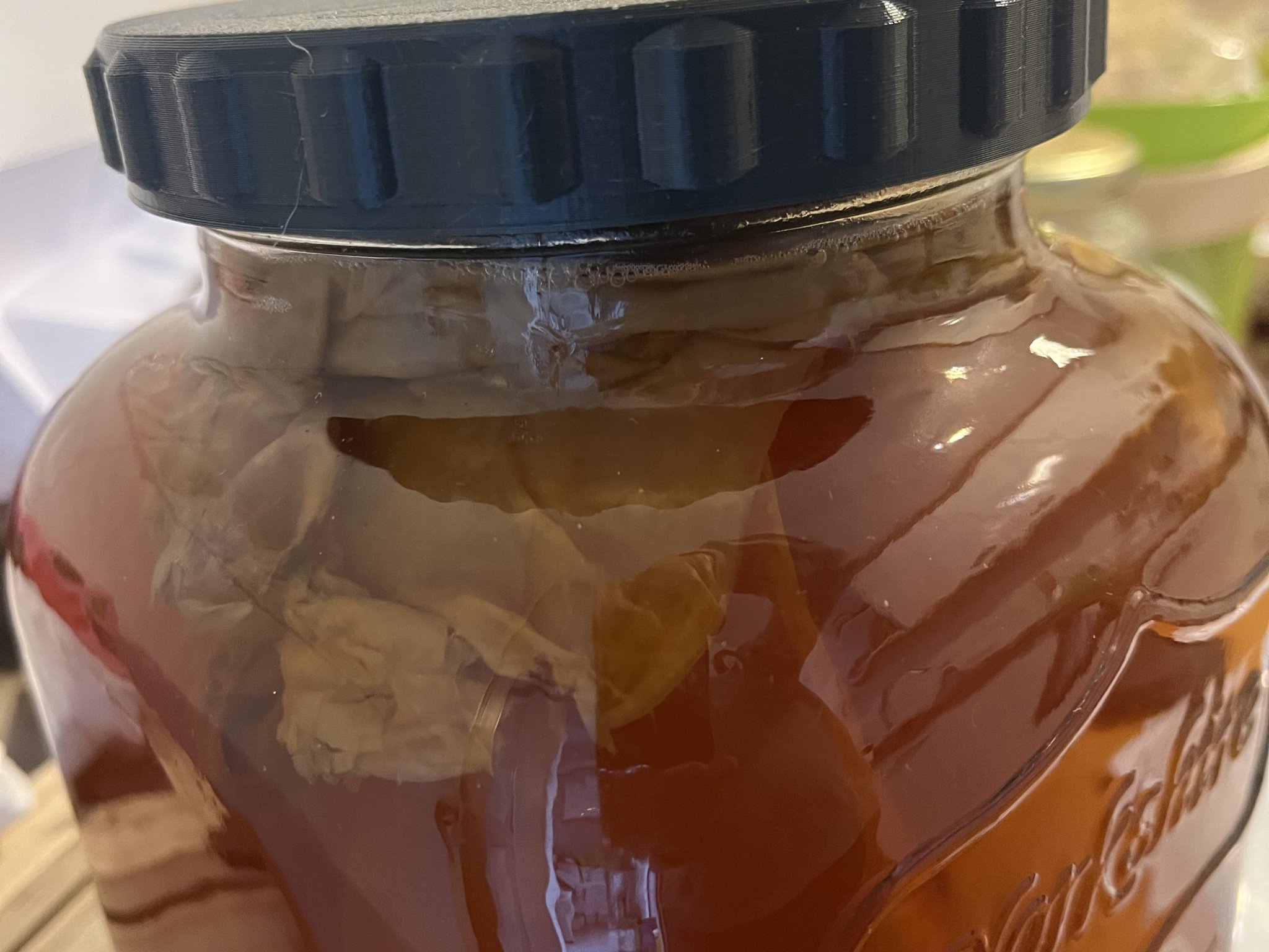 Nắp lọ lên men giữ khí và ngăn côn trùng