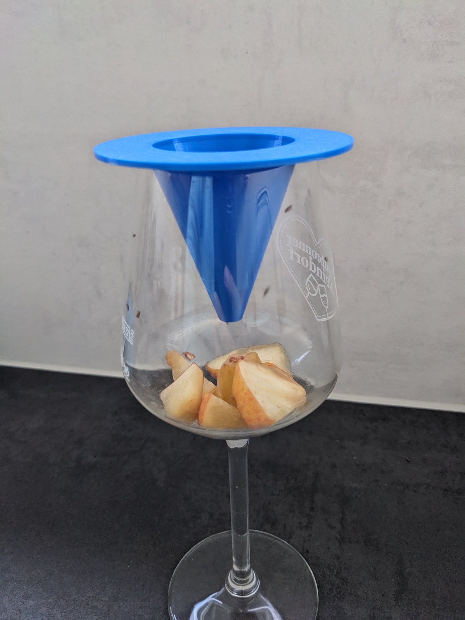 Bẫy ruồi trái cây bằng nắp ly vang hoặc bình hoa