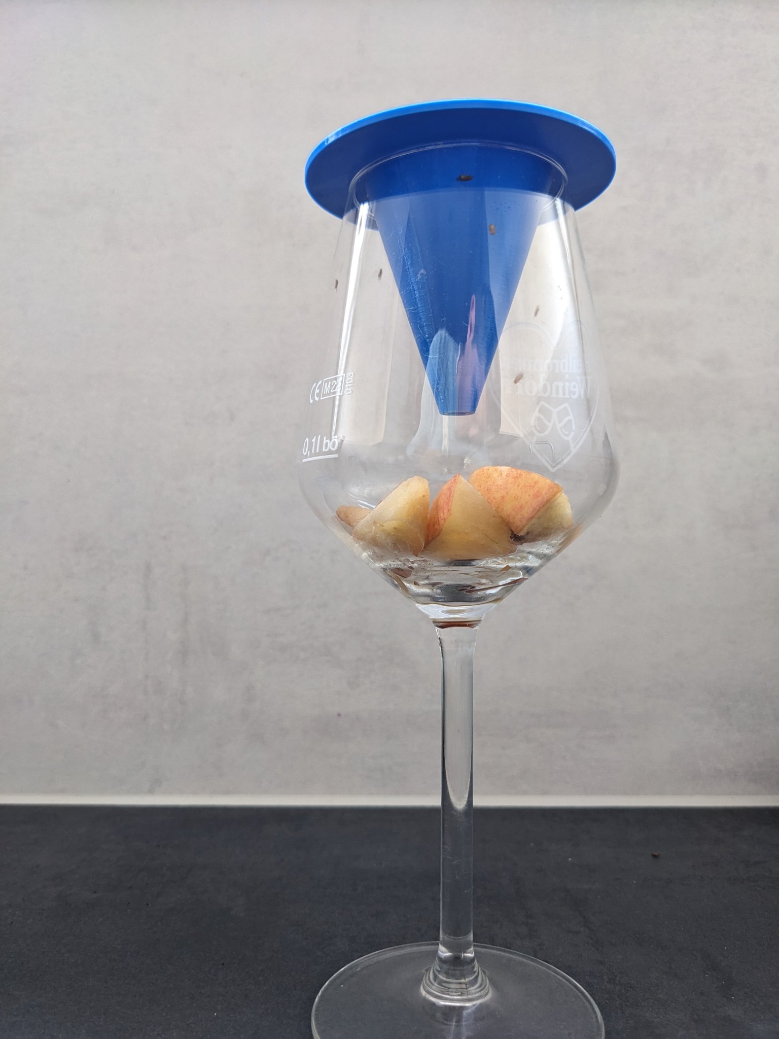 Bẫy ruồi trái cây bằng nắp ly vang hoặc bình hoa