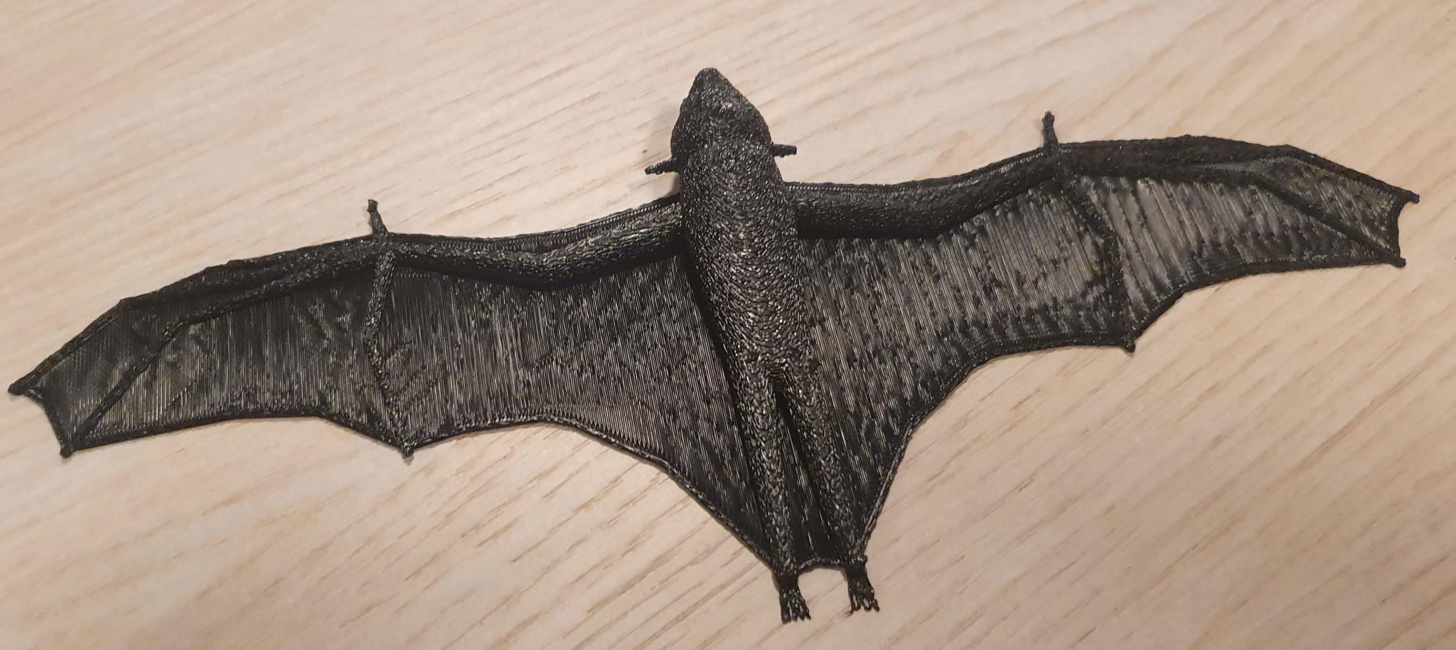 Dơi bay với cánh cầu rất mỏng cho mô hình 3D