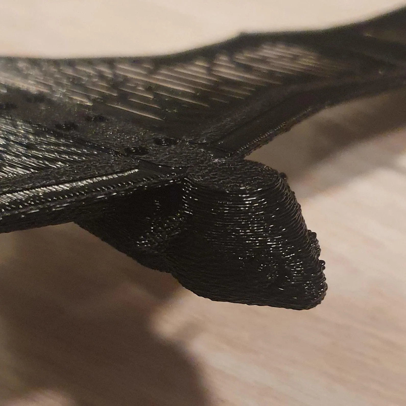 Dơi bay với cánh cầu rất mỏng cho mô hình 3D