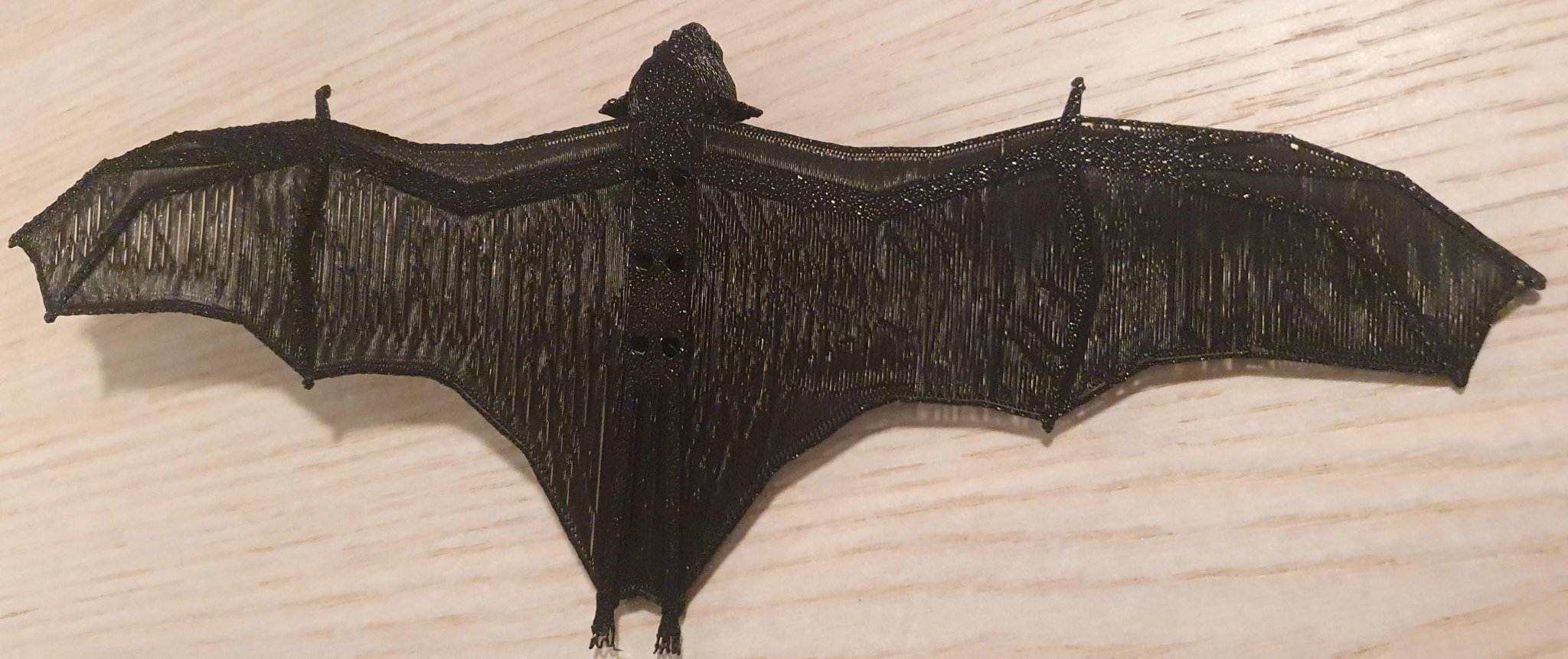 Dơi bay với cánh cầu rất mỏng cho mô hình 3D