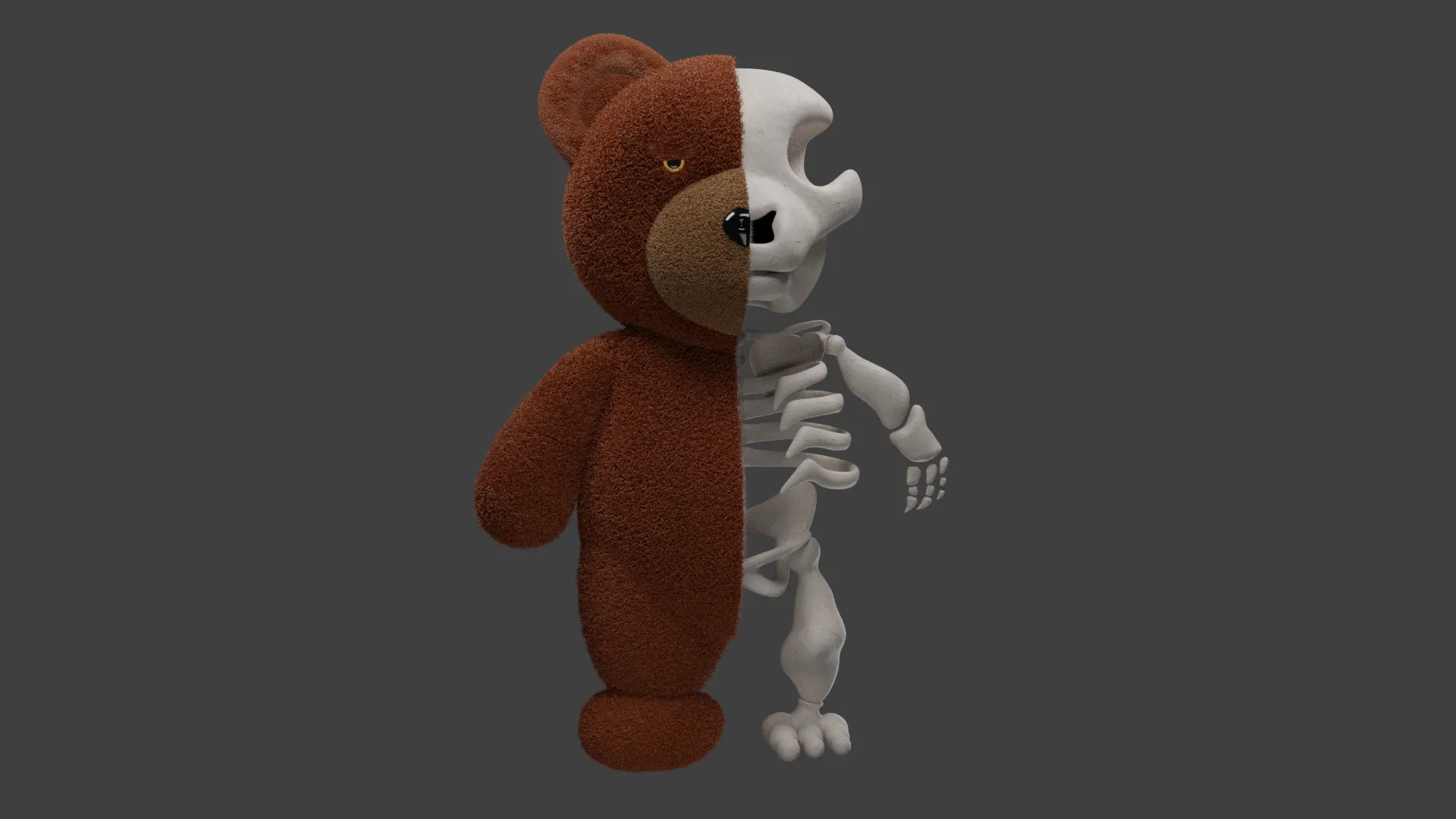 Gấu bông nửa bộ xương độc đáo