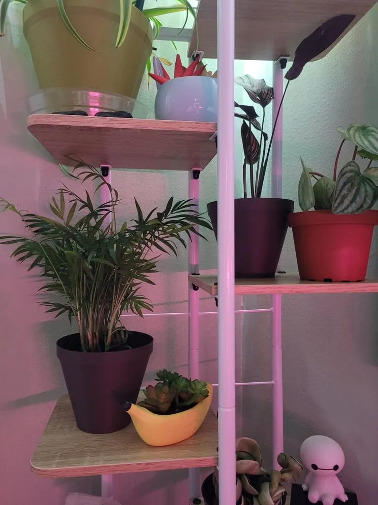 Chậu cây có thể tùy chỉnh cho vườn ươm