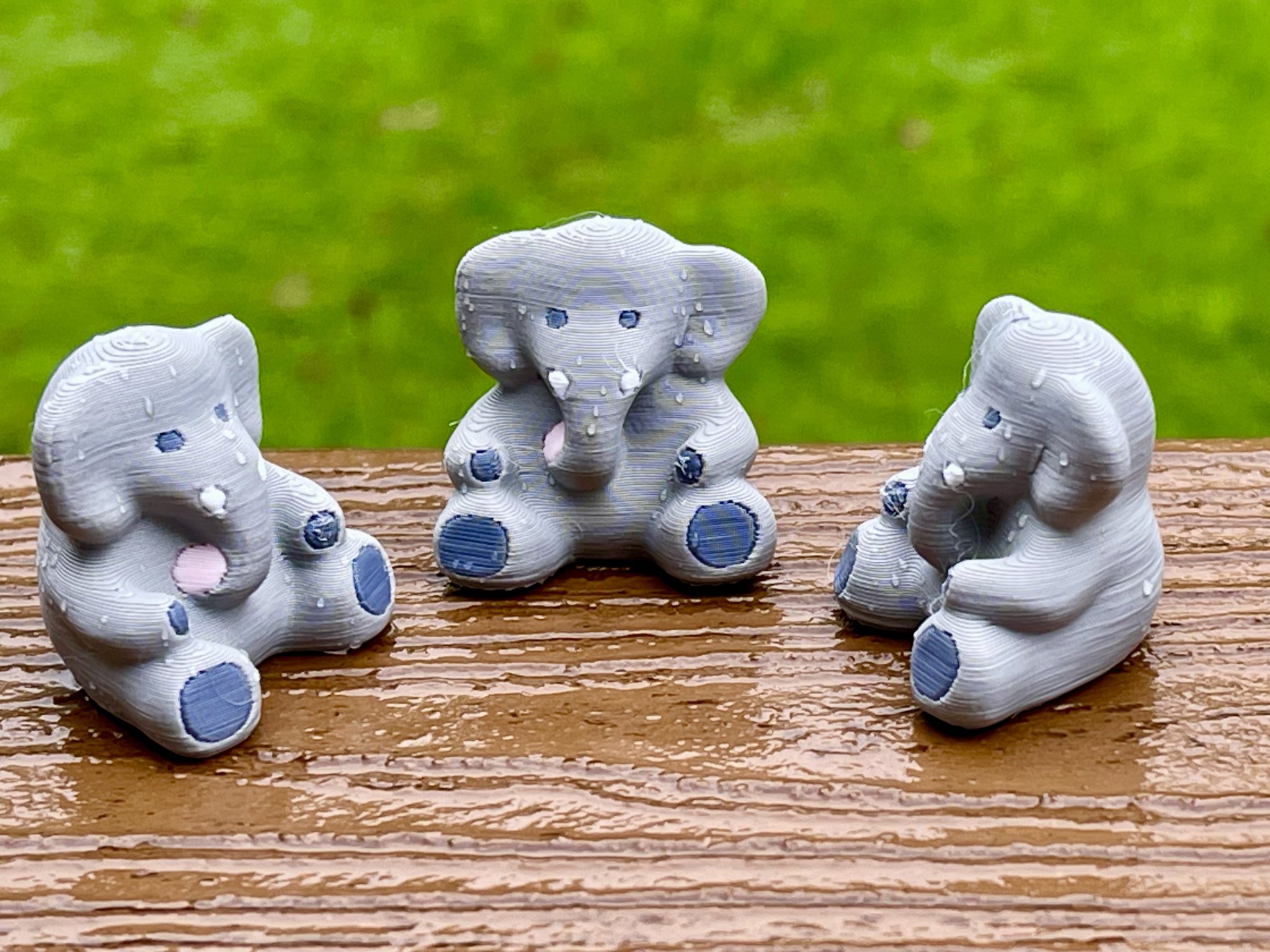 Voi nhỏ dễ thương với bốn màu sắc khác nhau