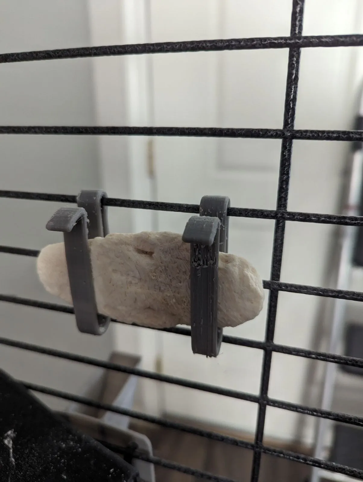 Giá đỡ xương cuttle cho chim trong lồng