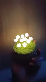 Đèn trang trí hoa tulip rỗng cho ánh sáng nhỏ