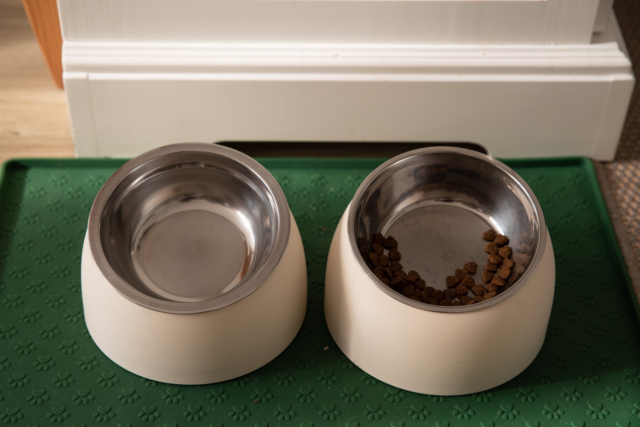 Chân Đế Tô Thức Ăn Cho Mèo Tối Giản, Công Thái Học