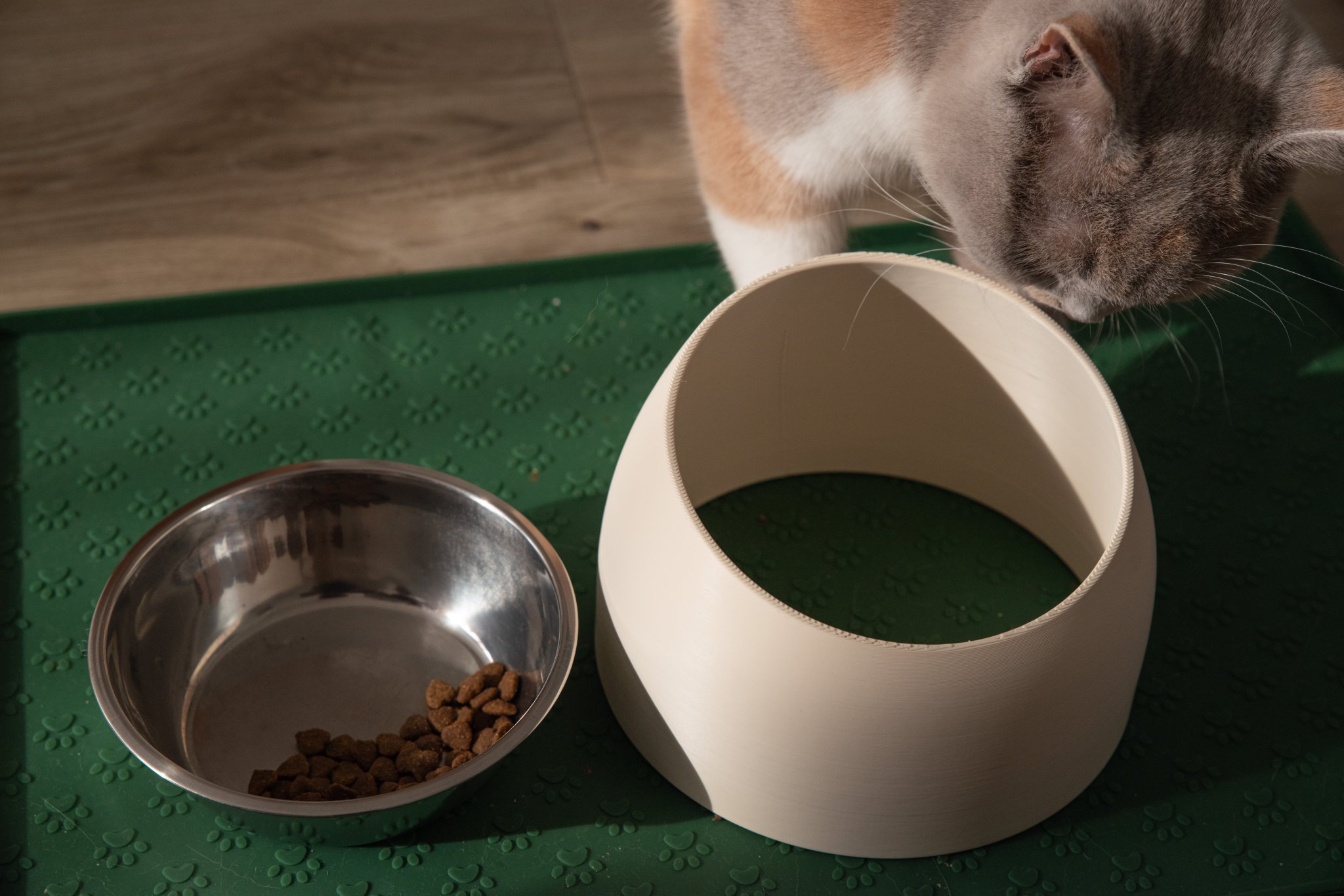 Chân Đế Tô Thức Ăn Cho Mèo Tối Giản, Công Thái Học