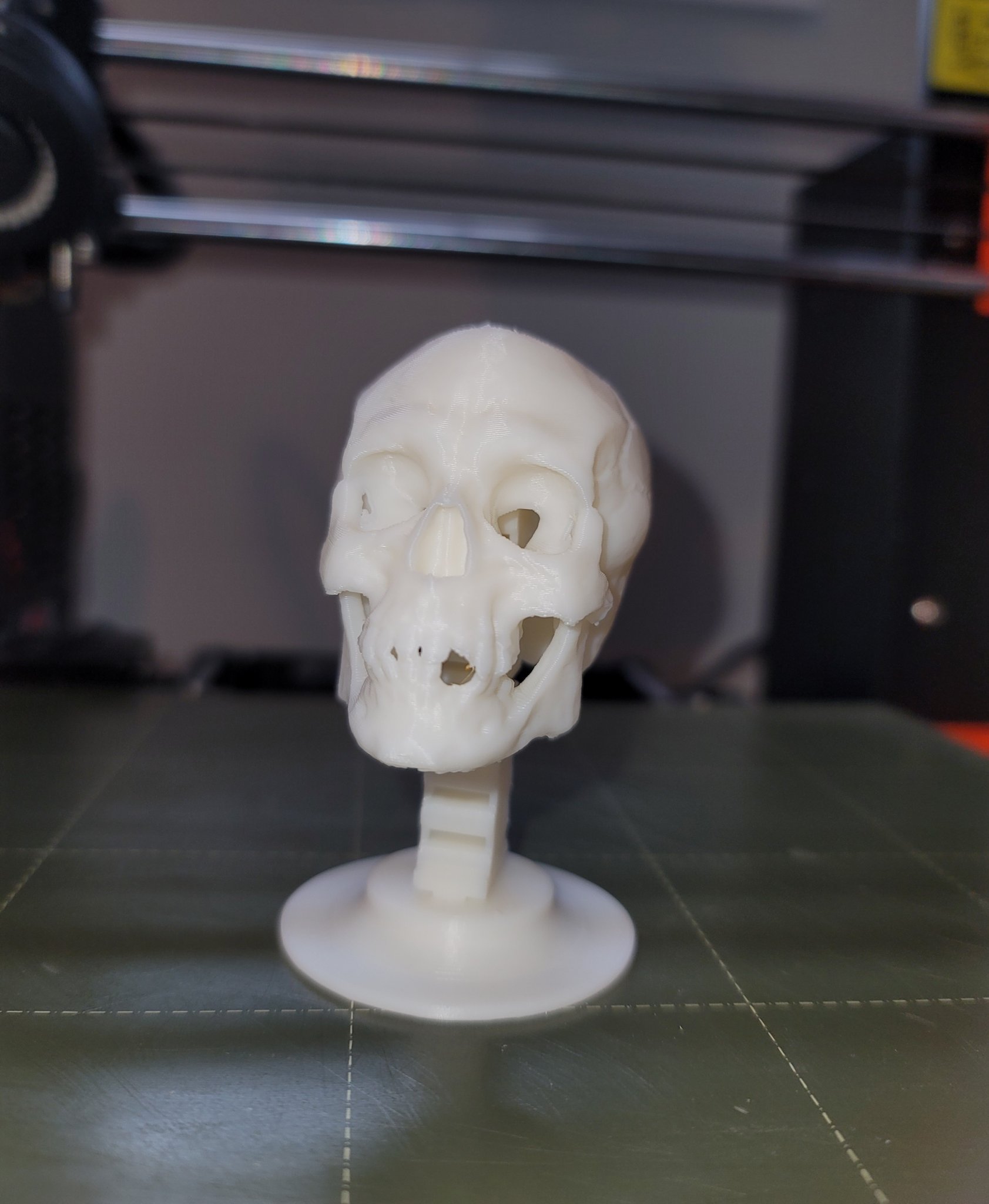 Đầu lâu bập bênh vui nhộn cho dịp Halloween