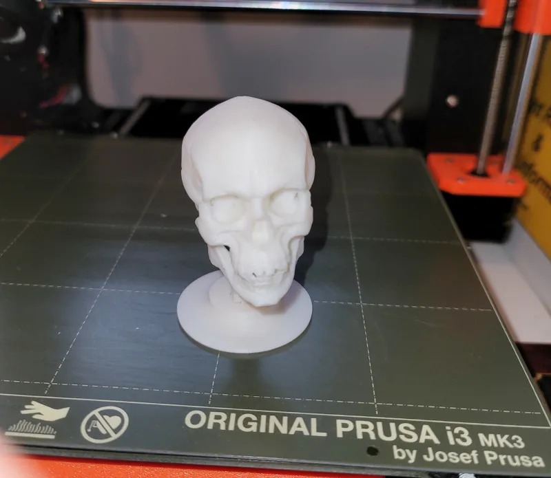 Đầu lâu bập bênh vui nhộn cho dịp Halloween