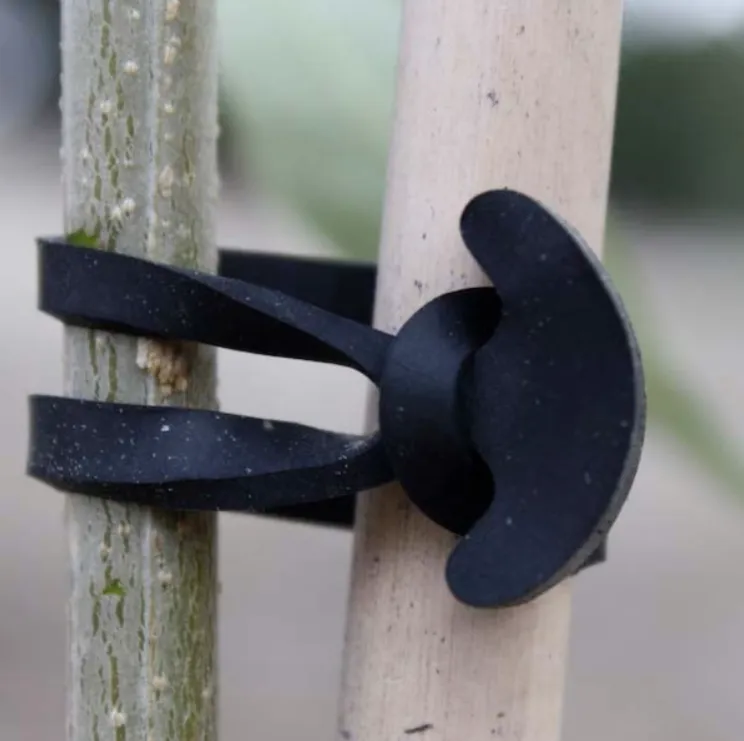 Hệ thống buộc cây Stretch-Lock với dây T-Ties