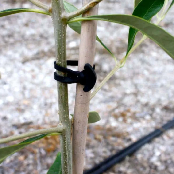 Hệ thống buộc cây Stretch-Lock với dây T-Ties