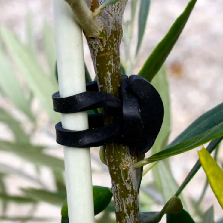 Hệ thống buộc cây Stretch-Lock với dây T-Ties