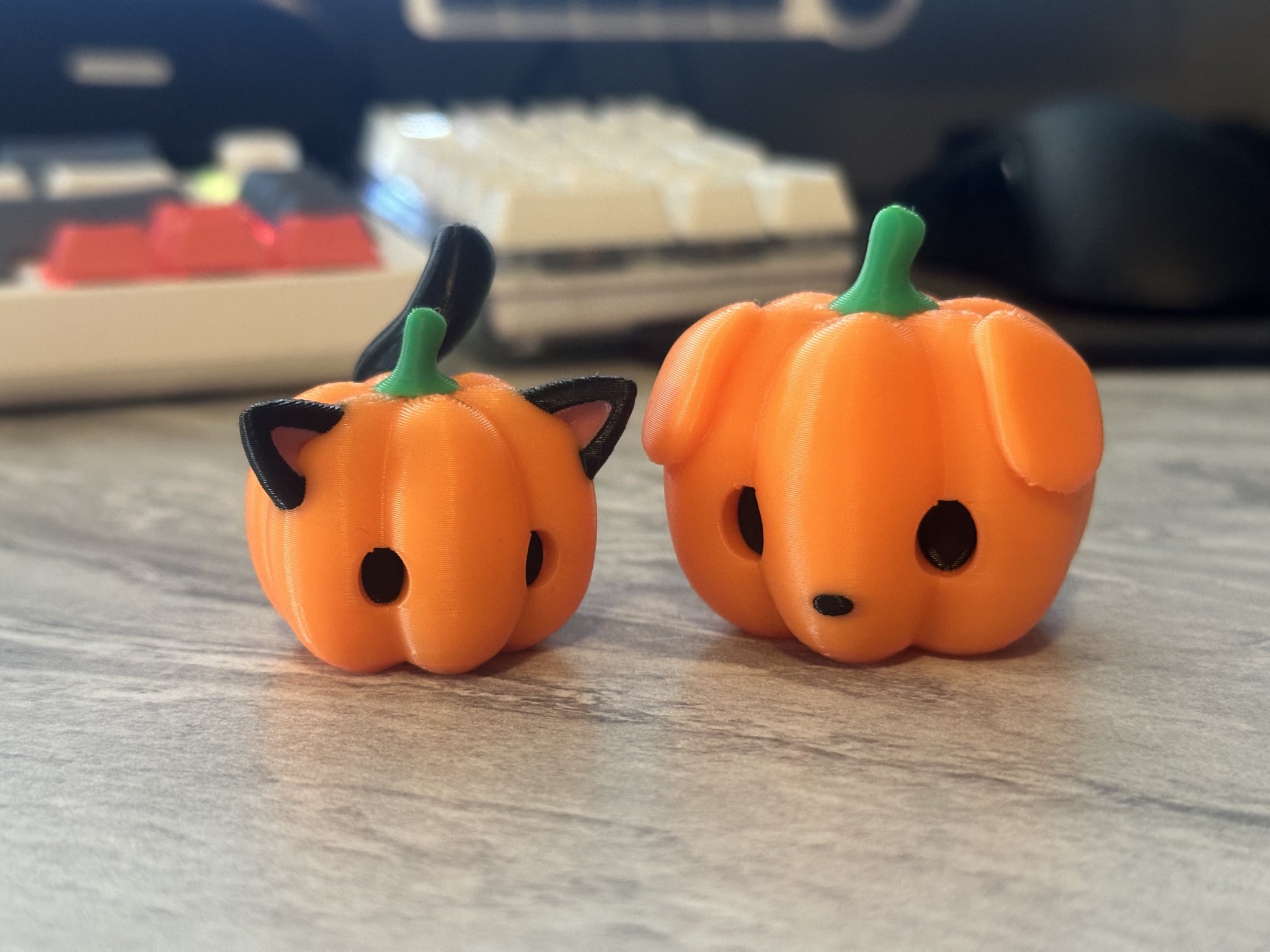 Chó con bí ngô dễ thương đi kèm mèo pumkiee