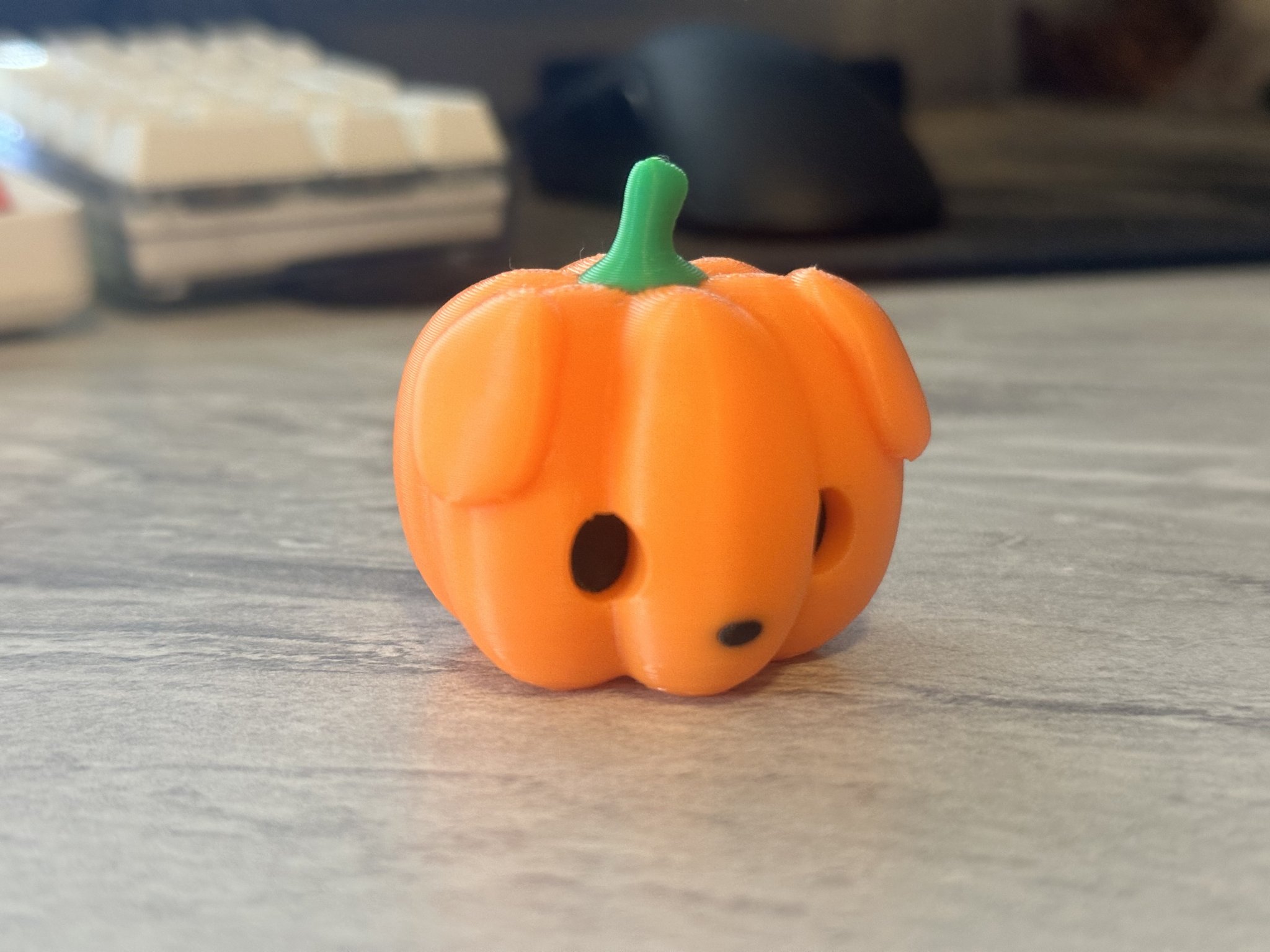 Chó con bí ngô dễ thương đi kèm mèo pumkiee