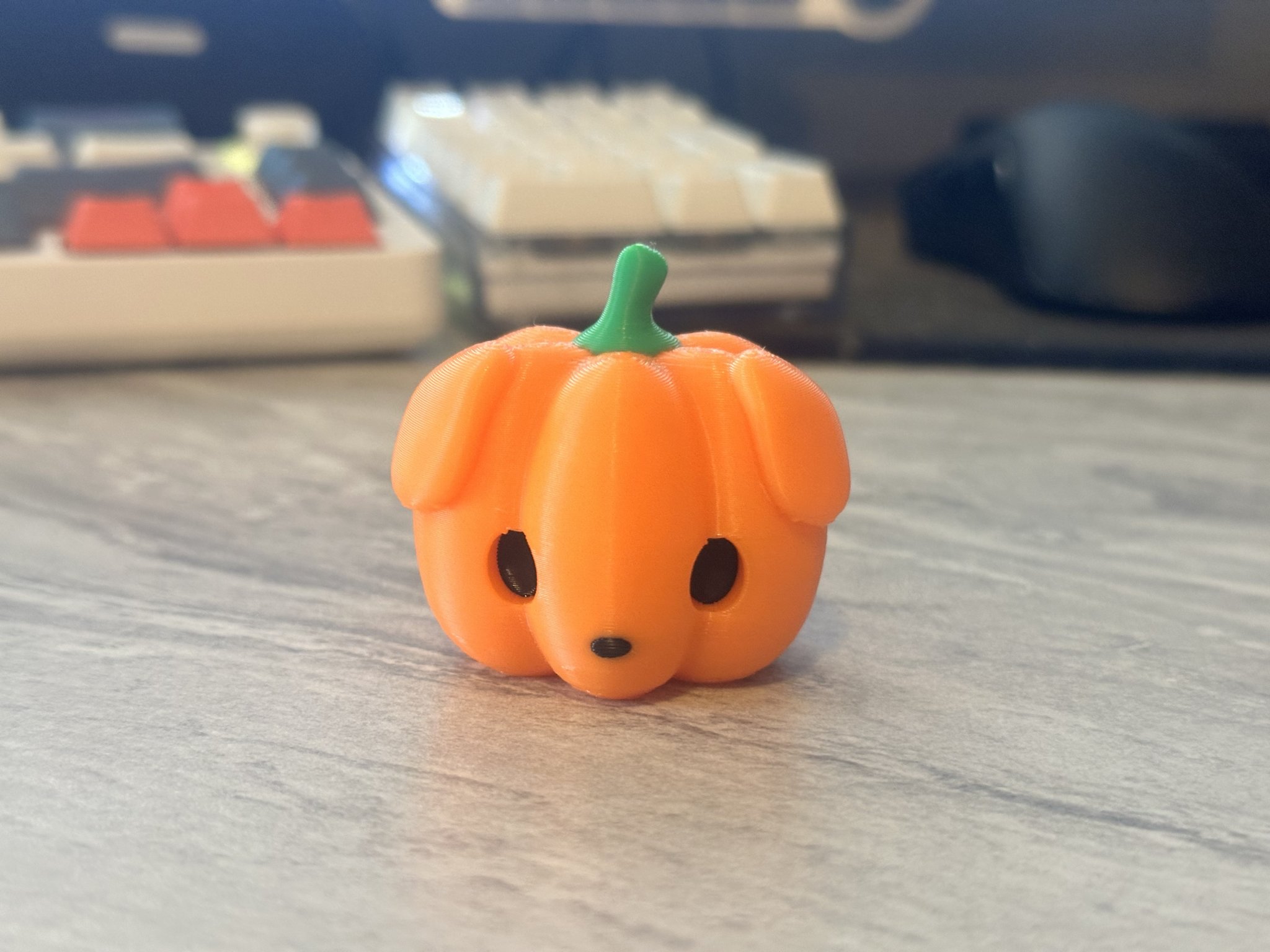 Chó con bí ngô dễ thương đi kèm mèo pumkiee