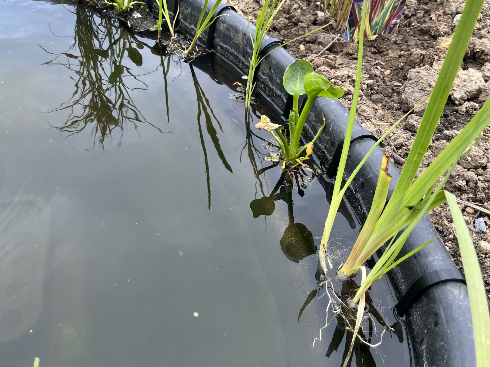 Giỏ Trồng Cây Thủy Sinh Cho Ao Hồ