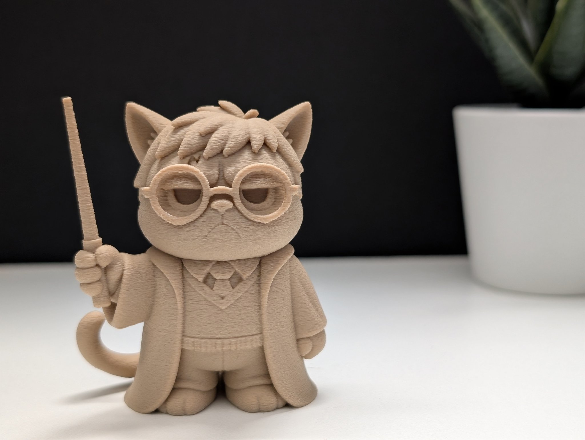 Mèo Khó Tính Phù Thủy Harry Potter