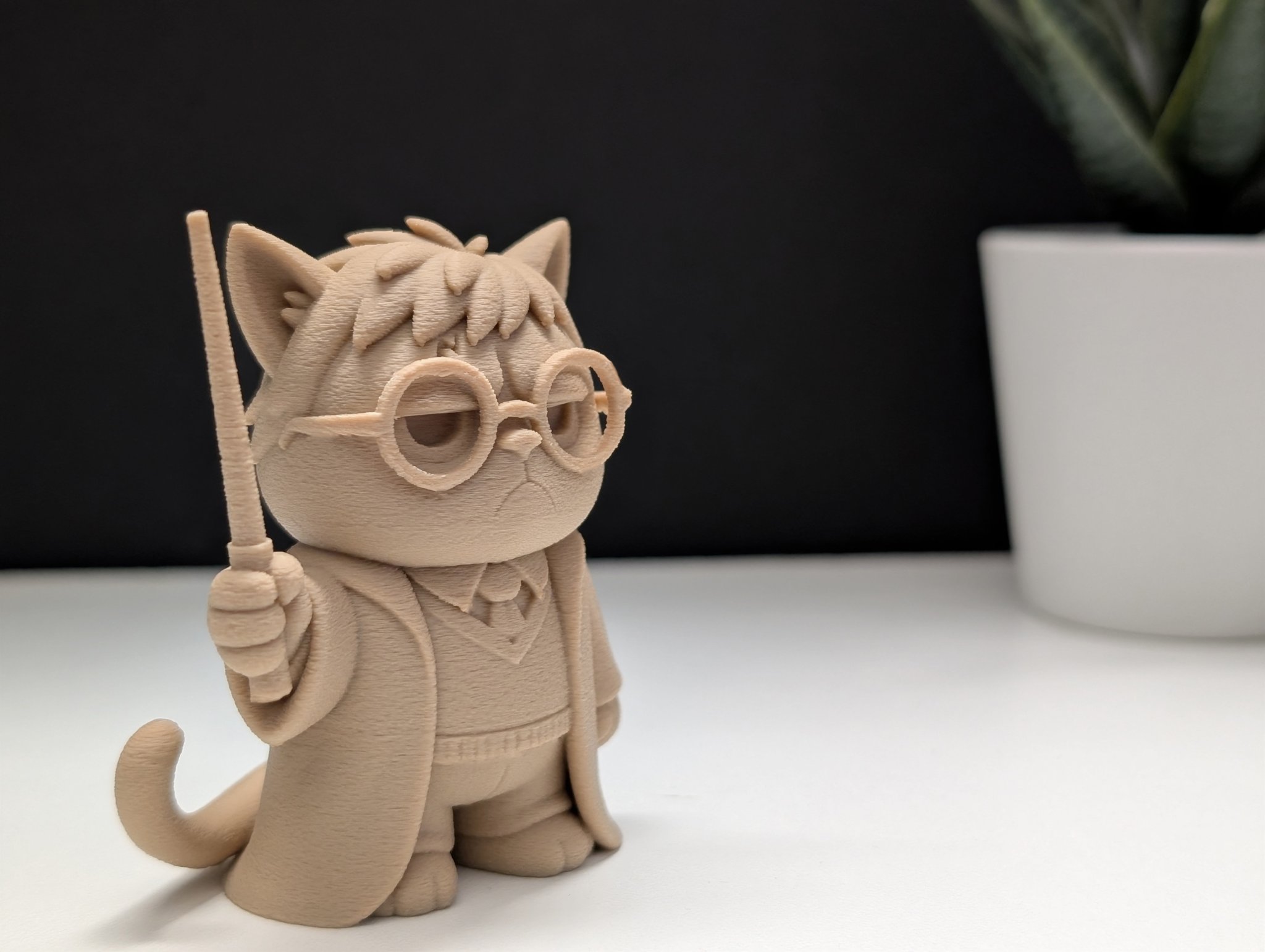 Mèo Khó Tính Phù Thủy Harry Potter