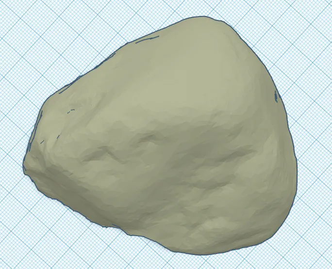 Nơi ẩn náu đá cho bò sát trong môi trường nuôi thú cưng