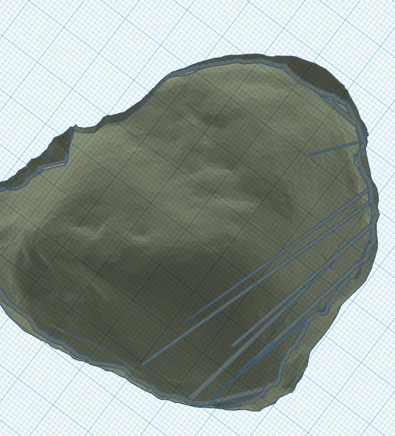 Nơi ẩn náu đá cho bò sát trong môi trường nuôi thú cưng