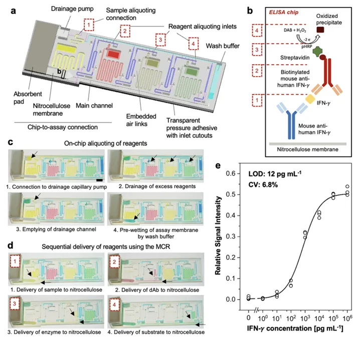 Chip ELISA vi lưu cho phân tích sinh học