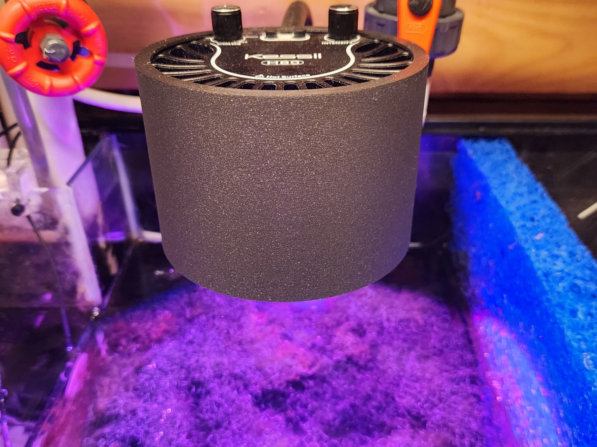 Máng che cho đèn LED Kessil H80 chống ánh sáng tỏa ra