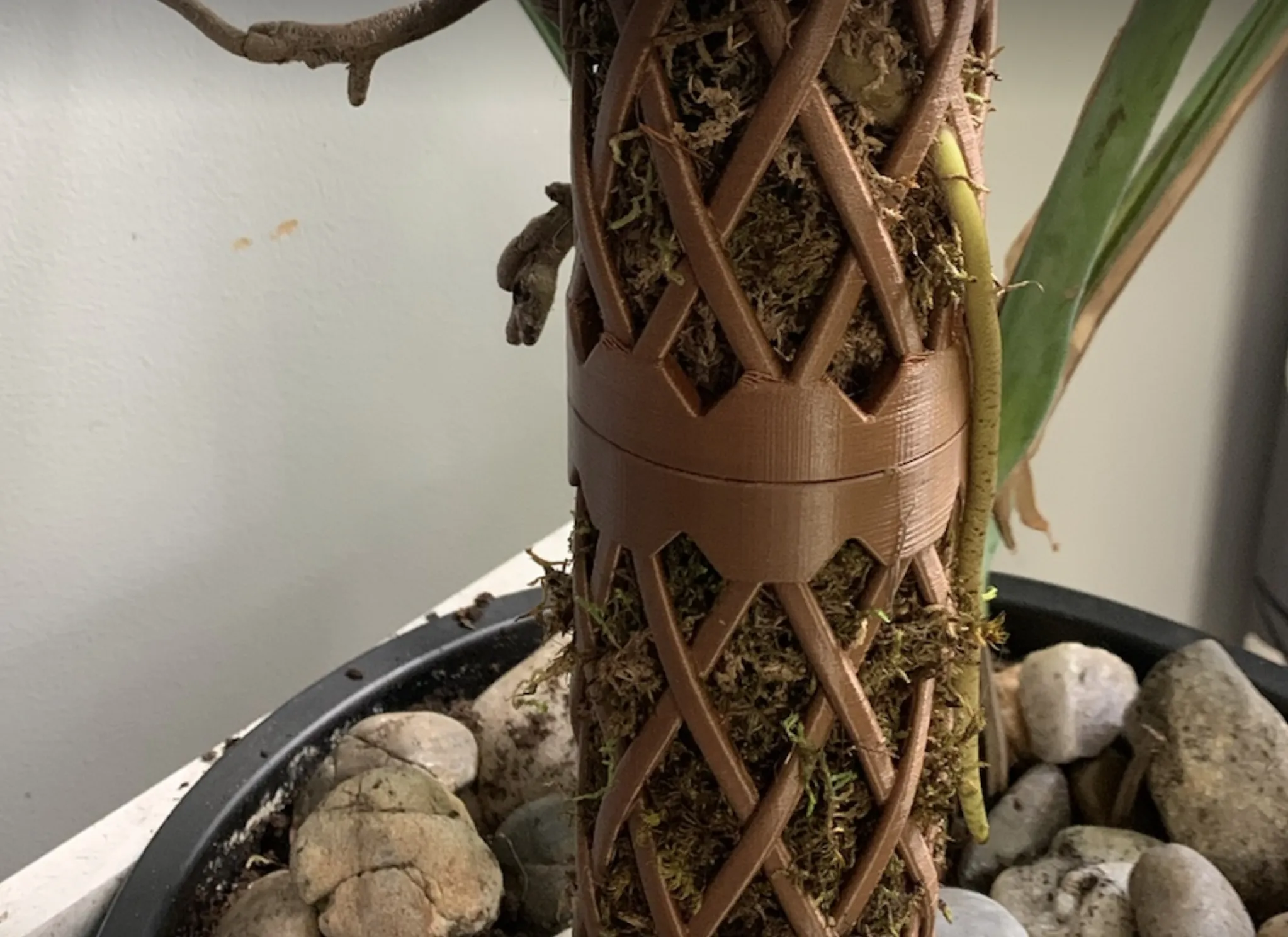 Cột rêu Monstera với hệ thống tưới nhỏ giọt tự động