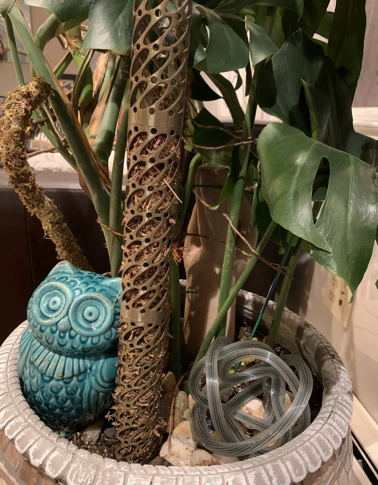 Cột rêu Monstera với hệ thống tưới nhỏ giọt tự động