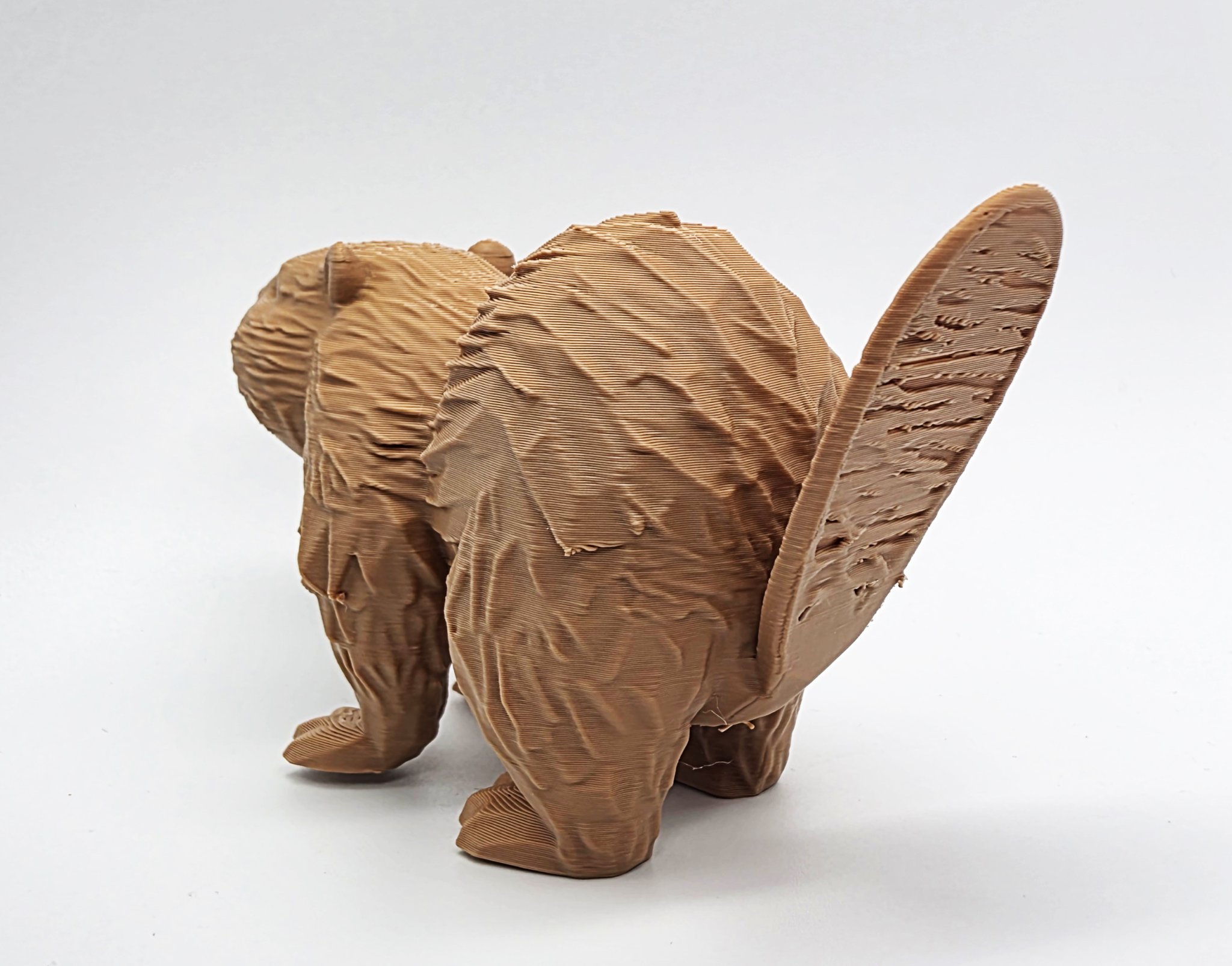 Castor gỗ với đuôi có vết nứt nhỏ