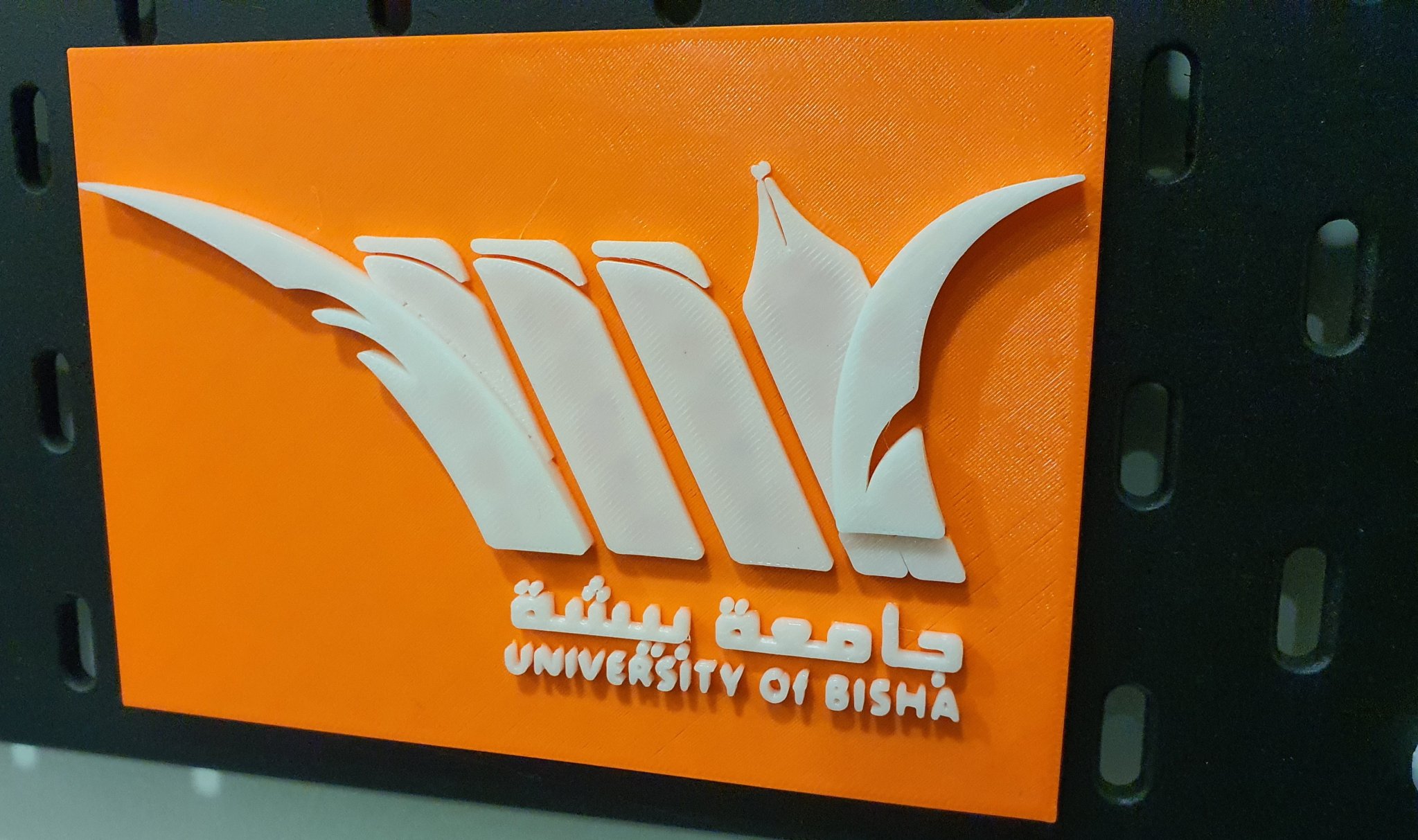 Biểu tượng Đại học Bisha