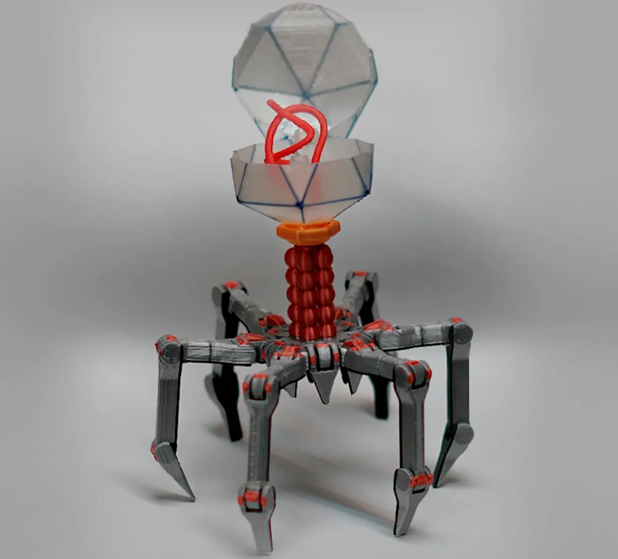 T4 Vi Khuẩn Khủng Long Dễ Thương In Liền Không Cần Hỗ Trợ