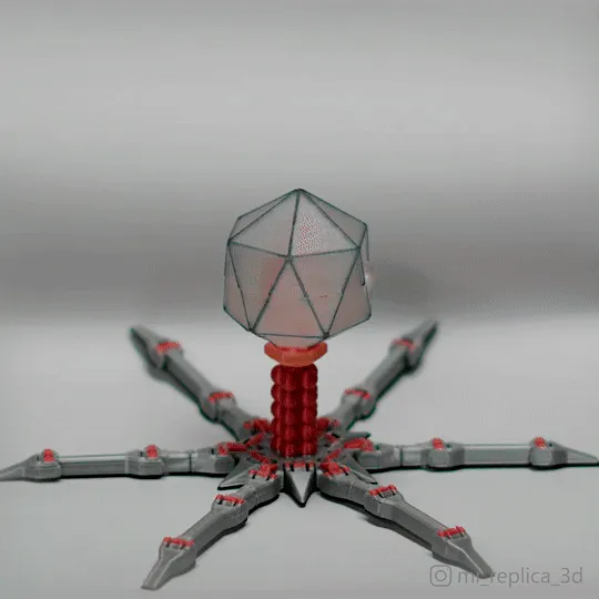 T4 Vi Khuẩn Khủng Long Dễ Thương In Liền Không Cần Hỗ Trợ