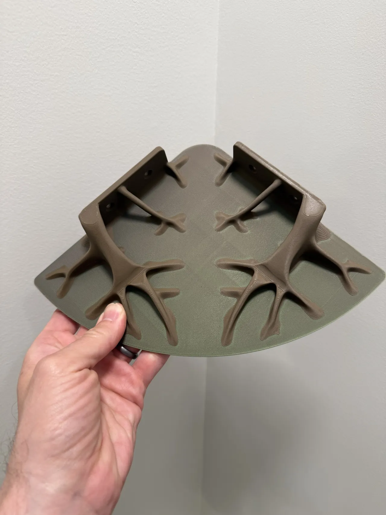 Rooted Shelf: Kệ Góc Vừa Vặn Cho Góc Tường Thực Tế