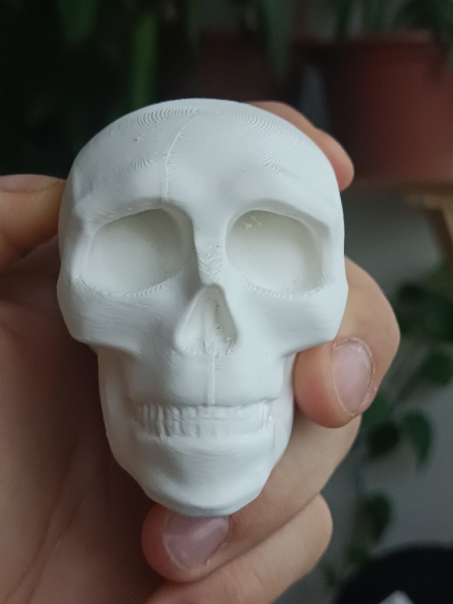 Đầu Lâu Phong Cách Halloween