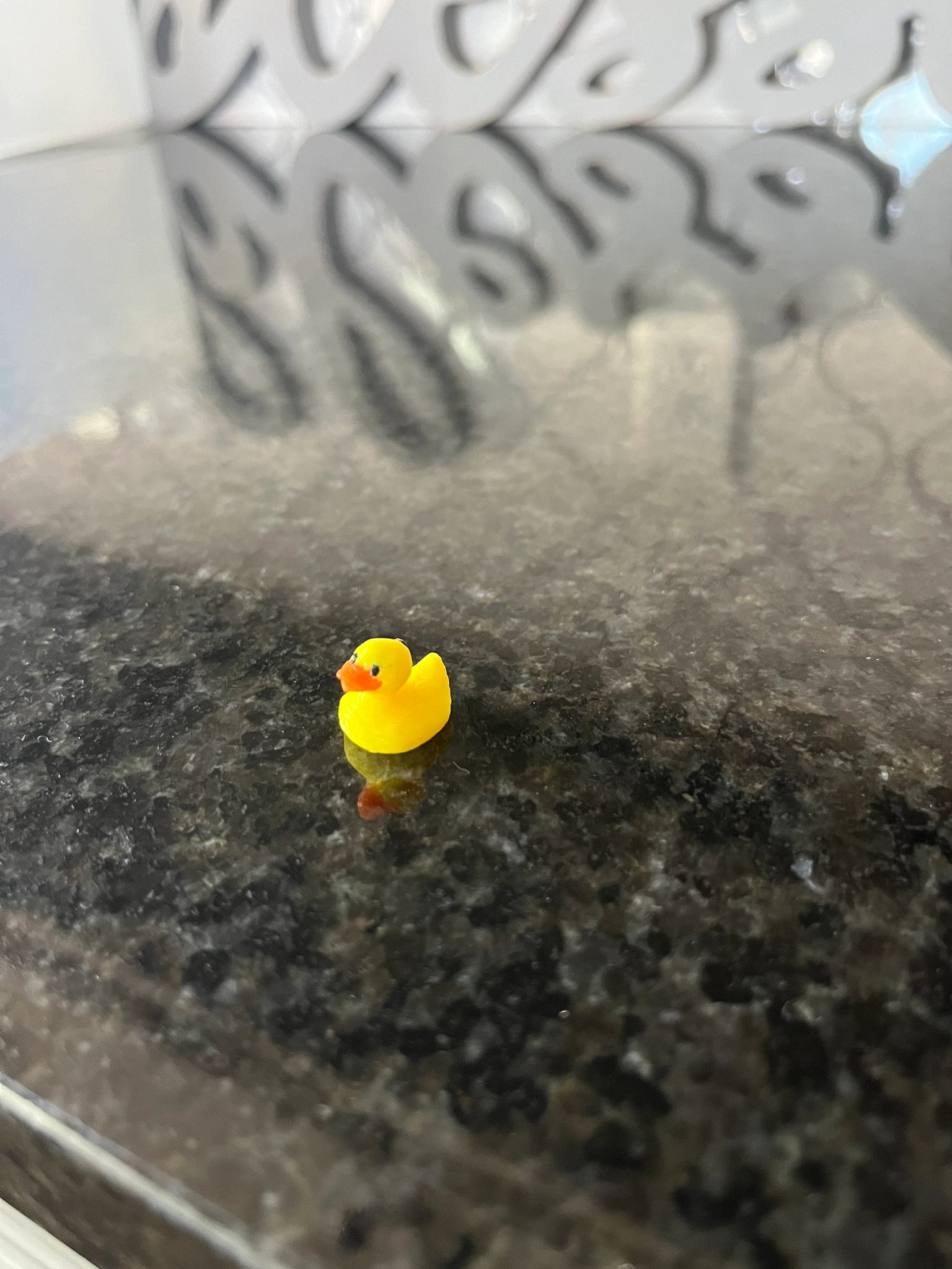 Vịt Con Trang Trí - Duckling Decore