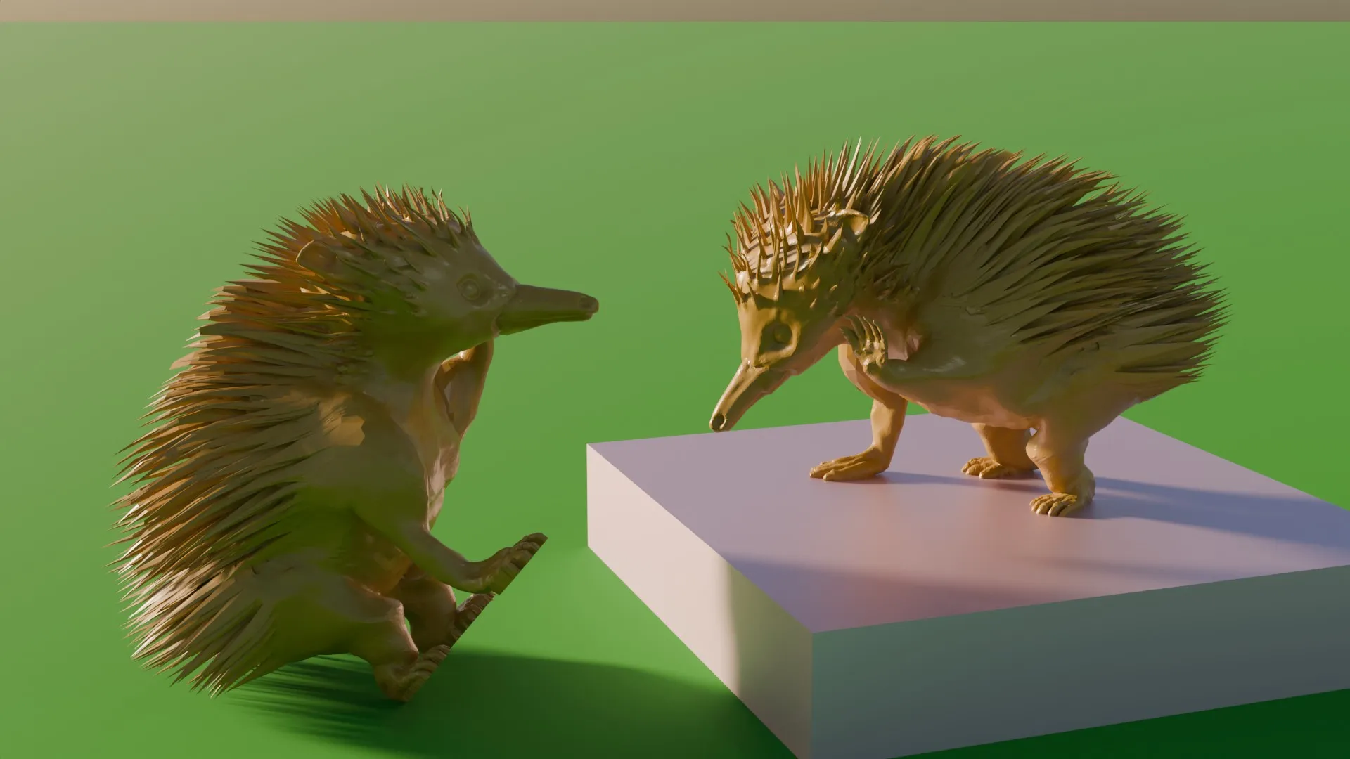 Spiky (Nhím mỏ vịt) đang ngồi