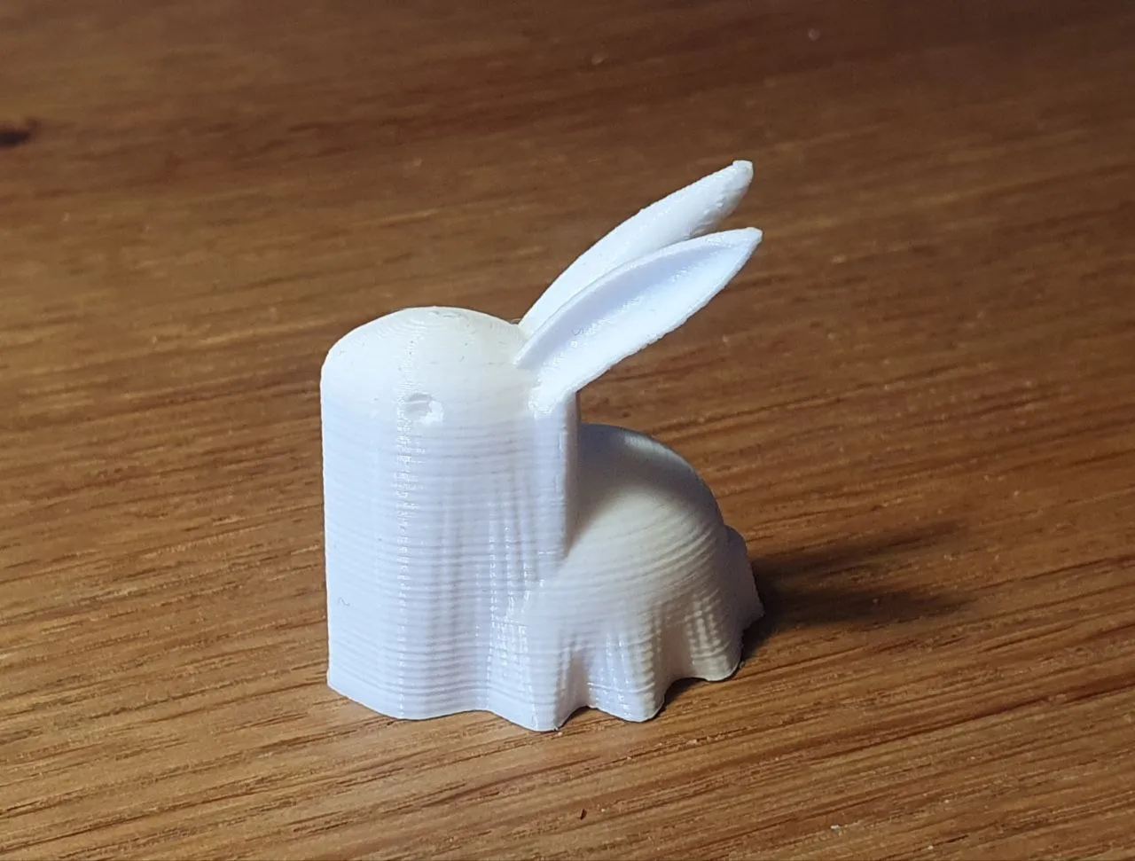 Thỏ được che giấu dưới áo choàng với hình dạng sóng